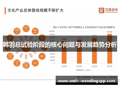 韩羽总试验阶段的核心问题与发展趋势分析