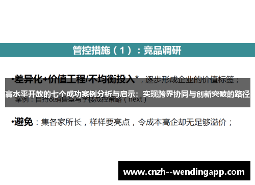 高水平开放的七个成功案例分析与启示：实现跨界协同与创新突破的路径