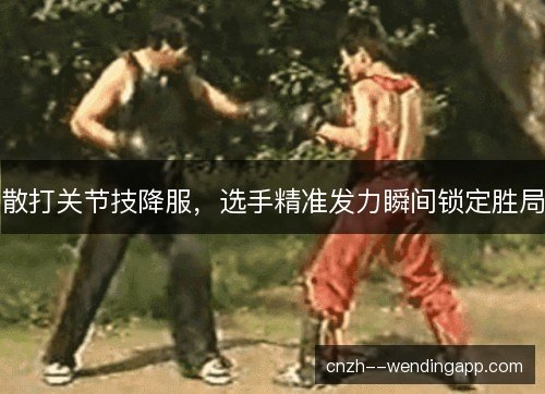 散打关节技降服，选手精准发力瞬间锁定胜局